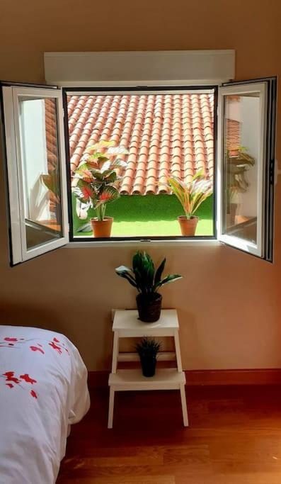 Precioso Loft En Pleno Corazon De Valladolid Ngoại thất bức ảnh